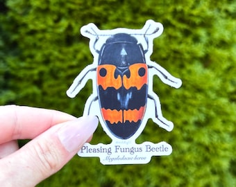 Pleasing Fungus Beetle Sticker - thick, high-quality vinyl, dishwasher tested, scratch and fade resistant, waterproof sticker