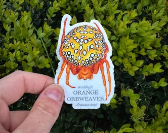 Orange Orbweaver Sticker - thick, high-quality vinyl, dishwasher tested, scratch and fade resistant, waterproof sticker