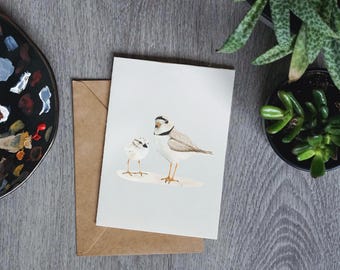 Piping Plover Greeting Card