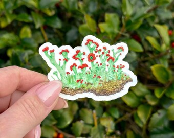 British Soldier Lichen Sticker - thick, high-quality vinyl, dishwasher tested, scratch and fade resistant, waterproof sticker