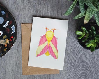 Rosy Maple Moth Greeting Card