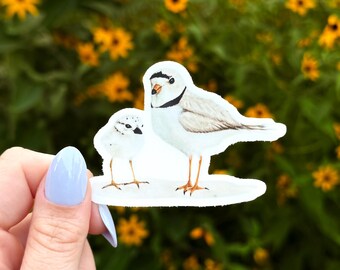Piping Plover Sticker - thick, high-quality vinyl, dishwasher tested, scratch and fade resistant, waterproof sticker