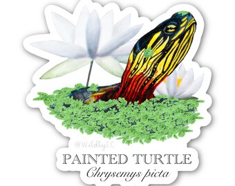 Painted Turtle Sticker - thick, high-quality vinyl, dishwasher tested, scratch and fade resistant, waterproof sticker