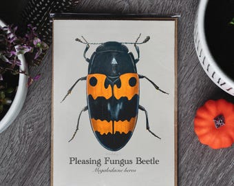 Pleasing Fungus Beetle Greeting Card
