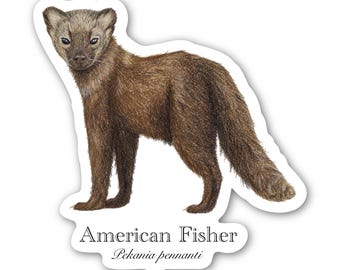 American Fisher Sticker - thick, high-quality vinyl, dishwasher tested, scratch and fade resistant, waterproof sticker