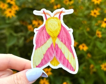 Rosy Maple Moth Sticker - thick, high-quality vinyl, dishwasher tested, scratch and fade resistant, waterproof sticker