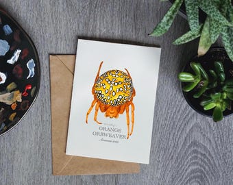 Orange Orbweaver Greeting Card