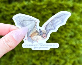Northern Long-Eared Bat Sticker - thick, high-quality vinyl, dishwasher tested, scratch and fade resistant, waterproof sticker