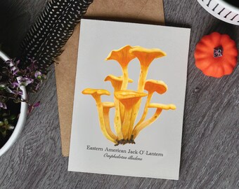 Jack-O’-Lantern Fungus Greeting Card