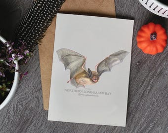 Northern Long-Eared Bat Greeting Card