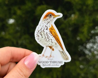 Wood Thrush Sticker - thick, high-quality vinyl, dishwasher tested, scratch and fade resistant, waterproof sticker