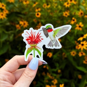 May include: A sticker featuring a hummingbird with green, red, and white feathers, and a red flower. The hummingbird is in mid-flight with its wings spread. The flower is red with green leaves. The sticker is held in front of a background of yellow flowers.