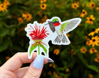 Ruby-throated Hummingbird Sticker - thick, high-quality vinyl, dishwasher tested, scratch and fade resistant, waterproof sticker