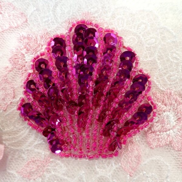 Seashell Applique - Etsy