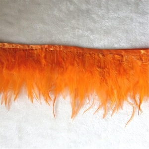 May include: Orange feather trim with a satin backing. The trim is approximately 1 inch wide and features a row of feathers that are about 2 inches long.