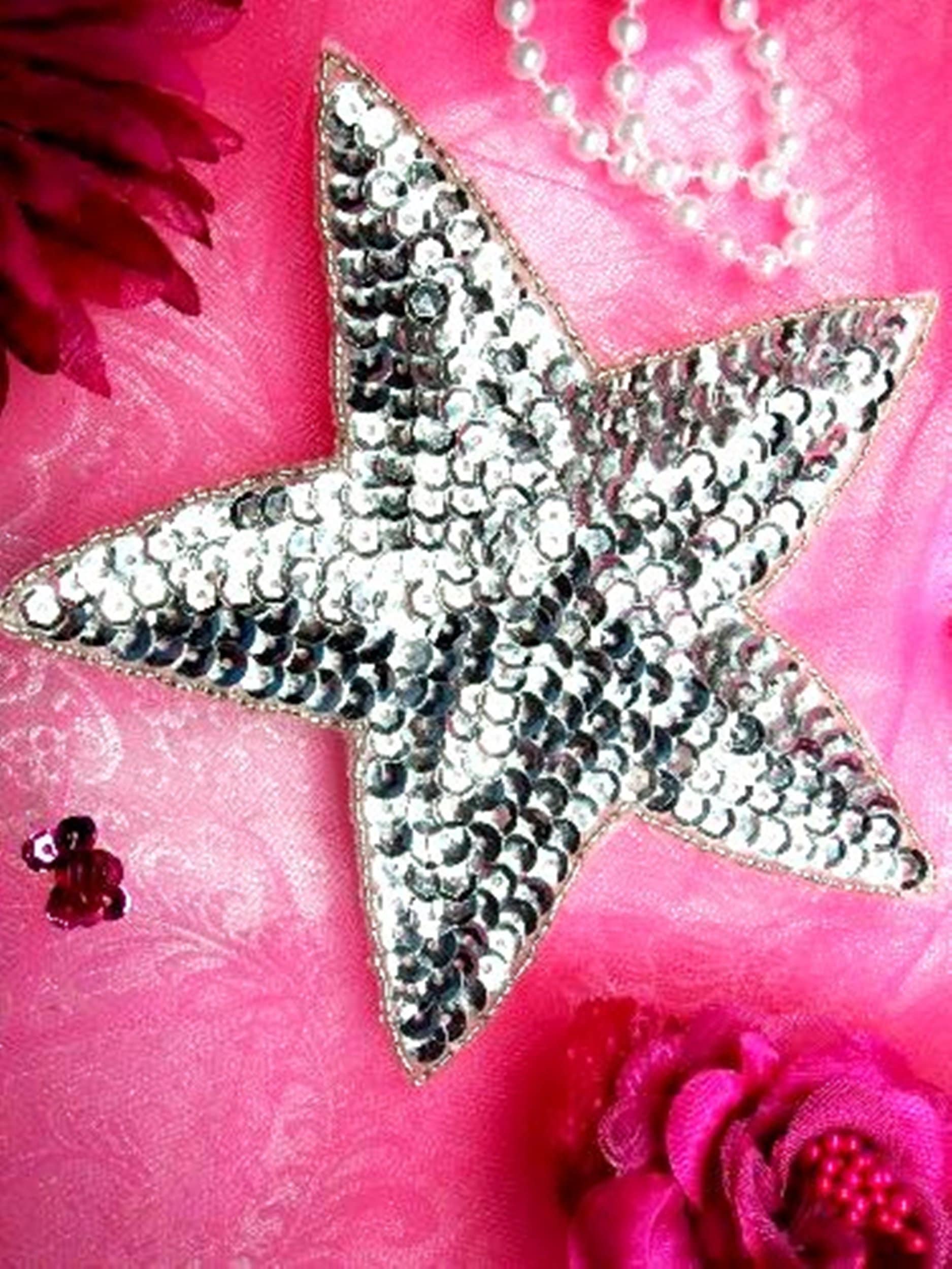 Six inch Silver Star Beaded Sequin Applique Patch 6" Iron on Large Size for Dance Costumes JB76