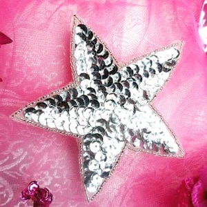 May include: A silver sequined star-shaped patch with a pink background.