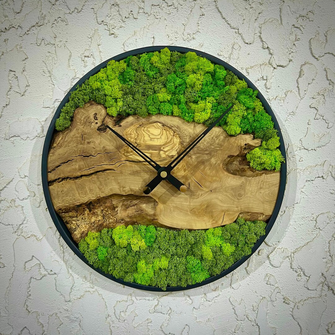 Amazon.com: Moss Wall Decor