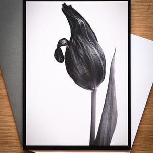 Carte de deuil avec photo "Black Tulip"