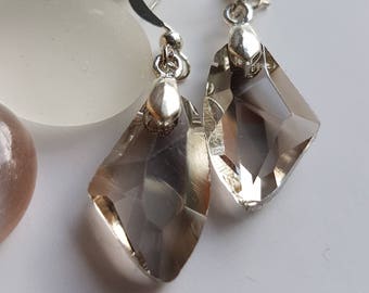 Golden Shadow Dangle Earrings