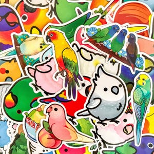 50 Random Cartoon Parrot Stickers, Cute Budgie and Cockatoo Stickers for Kids and Bird Lovers, Waterproof Stickers for Journal, Scrapbook