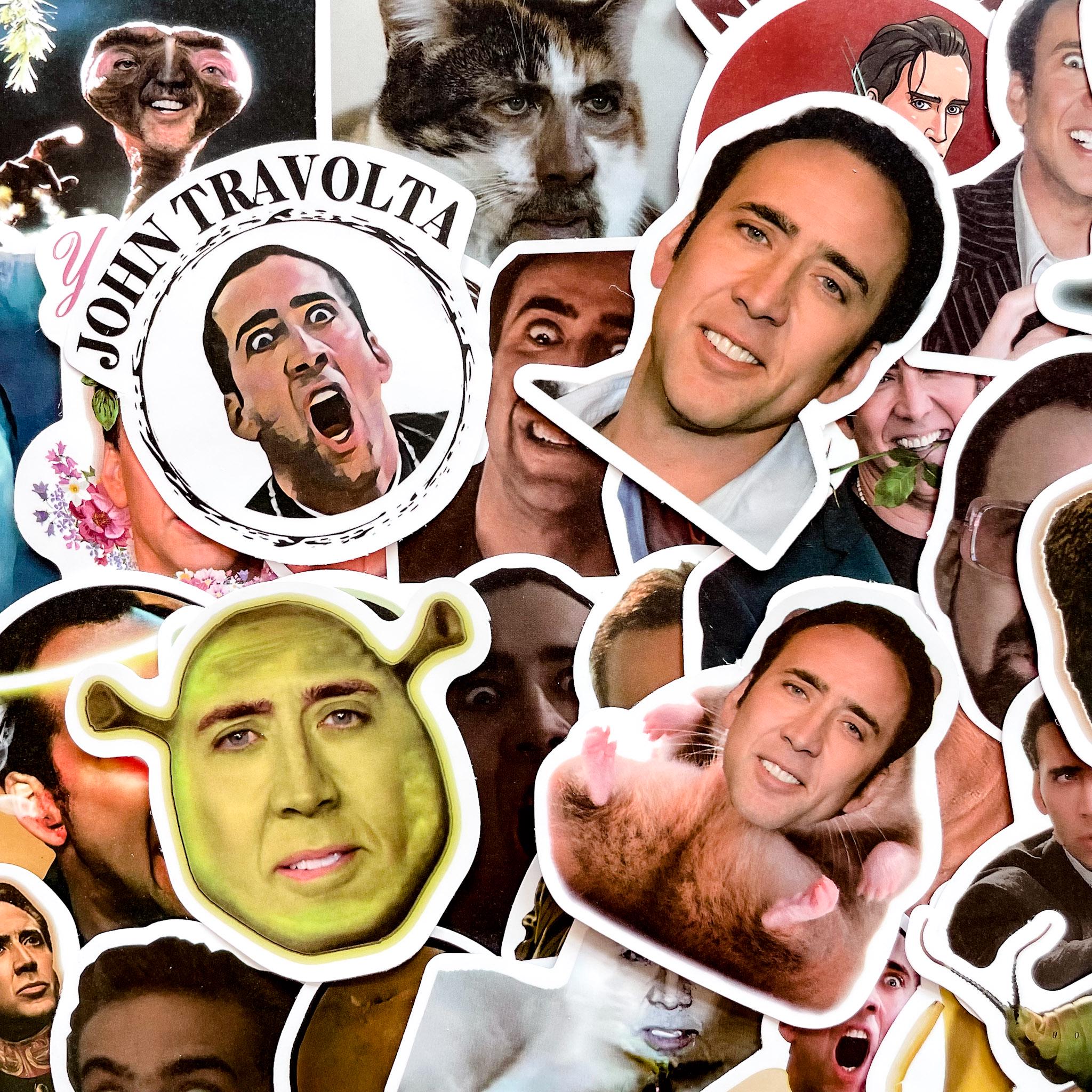 50 Random Nicolas-Cage Stickers, Funny Meme Stickers, Actor Icon Stickers, Waterproof Pop Culture Stickers for Journal,Scrapbook,DIY Craft