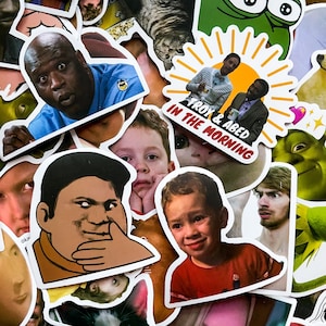50 Random Funny Meme Stickers, Hilarious Face Meme Stickers, Internet Trend Stickers, Waterproof Stickers for Laptop, Phone, Water Bottle