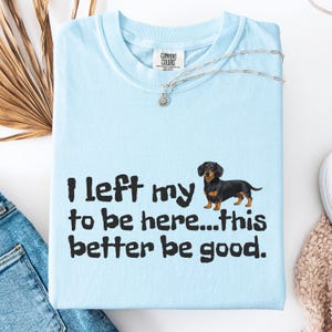 May include: Light blue t-shirt with the text "I left my to be here...this better be good." and a dachshund graphic. The shirt has a Comfort Colors tag and a silver necklace. The shirt is folded.