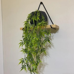May include: A wooden shelf with black metal triangle brackets, holding a potted plant with green leaves hanging down.