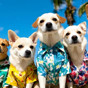 Custom Pet Clothes, Dog Shirt, Cat Shirt, Custom Pet Outfit with Face, Custom Pet Formal Wear, Puppy Hawaiian Shirt, Kitten Hawaiian Shirt