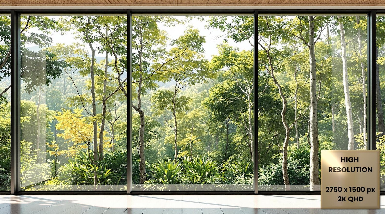 Realistic Trees Window Virtual Background | Natural Light Office for ...