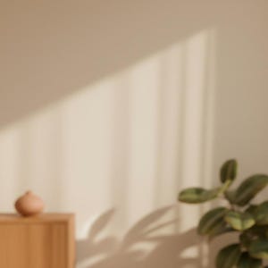 May include: A warm, inviting interior scene with a wooden cabinet, a small terracotta vase, and a houseplant. A wall lamp casts a soft glow, and sunlight creates shadows. The image is high resolution.