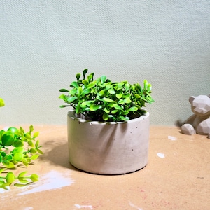 ハンドメイドのミニマリスト植木鉢 - ジュエリーオーガナイザー - コンクリート製のペン立て