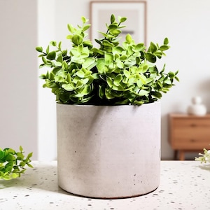 Personalized Handmade Concrete Planter: Custom Keepsake Gift