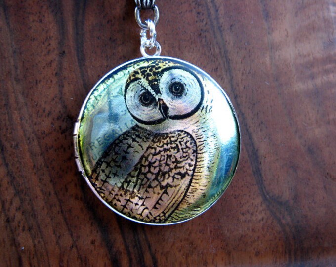 Silver Wise Owl Locket Necklace Enamel Altered Art Image Photo Locket
