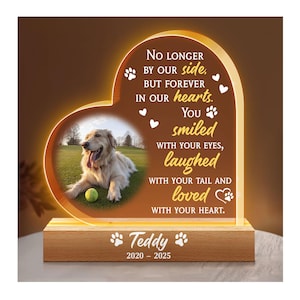 Personalized Pet Memorial Night Light, Custom Photo Pet Lover Night Light, Dog Keepsake Sign, Pet Loss Light Up Sign, Loss Of Dog Cat