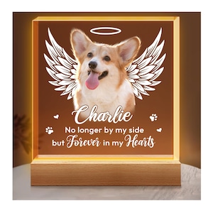 Personalized Pet Memorial Night Light, Custom Photo Pet Lover Night Light, Dog Keepsake Sign, Pet Loss Light Up Sign, Loss Of Dog Cat