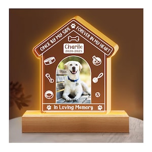 Personalized Pet Memorial Night Light, Custom Photo Pet Lover Night Light, Dog Keepsake Sign, Pet Loss Light Up Sign, Loss Of Dog Cat