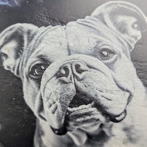 Laser-Engraved Slate Coaster | Majestic Bulldog Design | Custom Requests Available