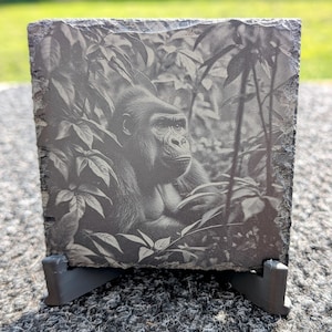 May include: A black and white photograph of a gorilla in a jungle setting, engraved on a slate coaster. The gorilla is sitting in the middle of the image, looking to the right. The image is surrounded by leaves and branches.