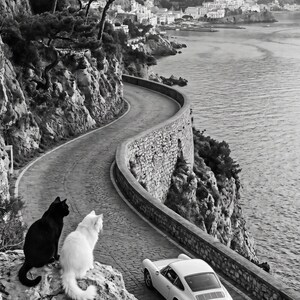 Pu&ograve; includere: Fotografia in bianco e nero di una strada costiera tortuosa con un muro di pietra e un'auto sportiva bianca. Due gatti, uno nero e uno bianco, sono seduti su uno sperone roccioso che si affaccia sulla strada. La strada costeggia la costa, con una citt&agrave; visibile in lontananza.