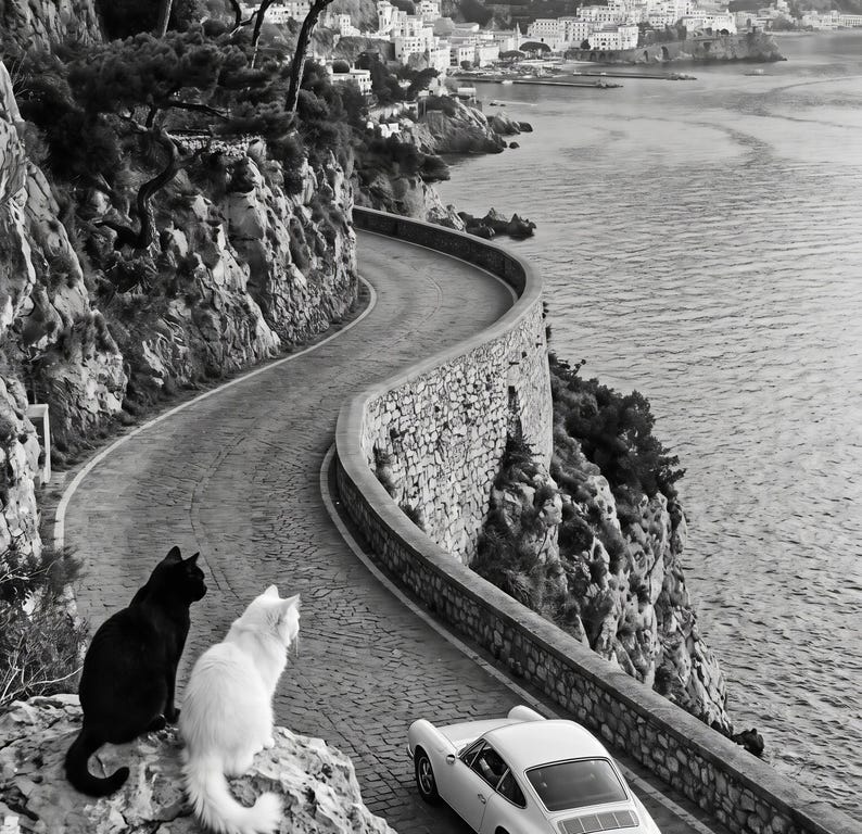 Pu&ograve; includere: Fotografia in bianco e nero di una strada costiera tortuosa con un muro di pietra e un'auto sportiva bianca. Due gatti, uno nero e uno bianco, sono seduti su uno sperone roccioso che si affaccia sulla strada. La strada costeggia la costa, con una citt&agrave; visibile in lontananza.