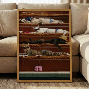 May include: A framed print featuring several cats lounging on steps, each wearing sunglasses and swimwear. The cats are of various colors and patterns, with a straw hat on one. Pink slippers are at the bottom of the steps.