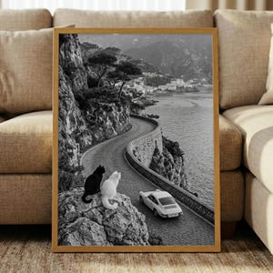 Pu&ograve; includere: Stampa incorniciata in bianco e nero raffigurante una strada costiera tortuosa con un'auto d'epoca e due gatti. Un gatto nero e un gatto bianco sono seduti su una roccia, affacciati sulla strada e sul mare. La cornice &egrave; in legno.