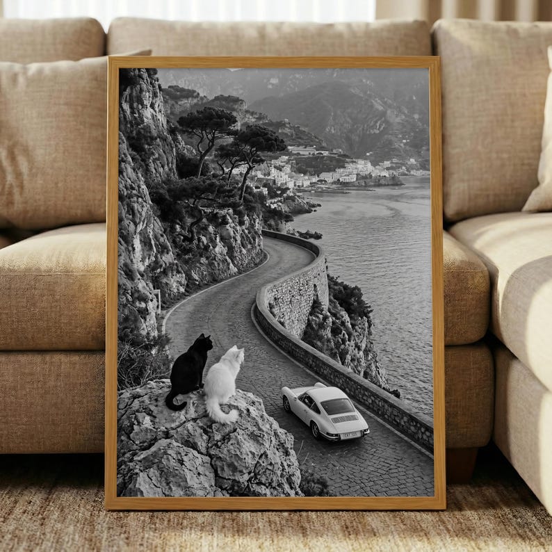 Pu&ograve; includere: Stampa incorniciata in bianco e nero raffigurante una strada costiera tortuosa con un'auto d'epoca e due gatti. Un gatto nero e un gatto bianco sono seduti su una roccia, affacciati sulla strada e sul mare. La cornice &egrave; in legno.