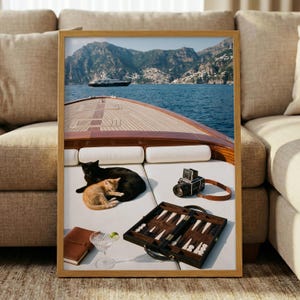 May include: A framed wall art print depicting the bow of a wooden boat on blue water with a distant yacht and mountains. On the white deck cushions sit a black cat, an orange tabby kitten, a vintage film camera, a backgammon set, and a glass.