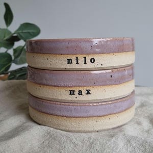 May include: A stack of three ceramic bowls. Each bowl has a lavender rim and a beige center. The name "milo" is printed on the top bowl, and the name "max" is printed on the middle bowl. The bowls are stacked on top of each other.
