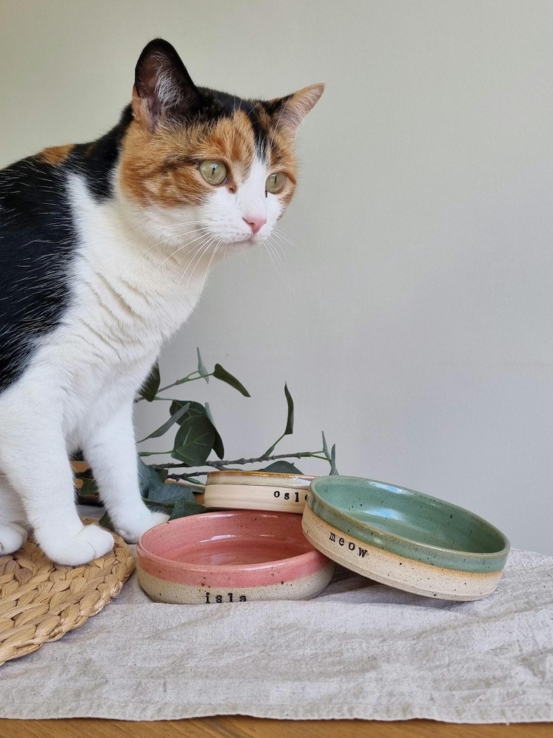 Może przedstawiać: Kot szylkretowy siedzi obok trzech ceramicznych misek dla zwierząt. Miski są r&oacute;żowe, zielone i beżowe, z napisem "Isla" i "meow". Miski znajdują się na neutralnej powierzchni.