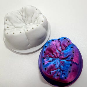 Puede incluir: Dos modelos dentales, uno blanco y otro multicolor. El modelo blanco es un molar con múltiples agujeros pequeños. El segundo modelo es un molar con una base púrpura y una mezcla arremolinada de azul y rosa en la parte superior, también con pequeños agujeros.