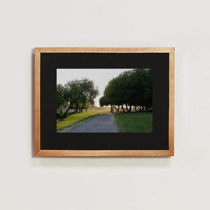 May include: A framed photograph of a path through a grove of trees. The path is lined with green grass and leads to a clearing in the distance. The trees are in full leaf and the sky is a light blue.